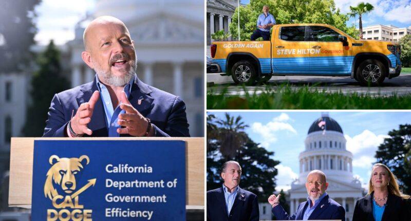 Steve Hilton blames Gavin Newsom for Californiaâs economic struggles